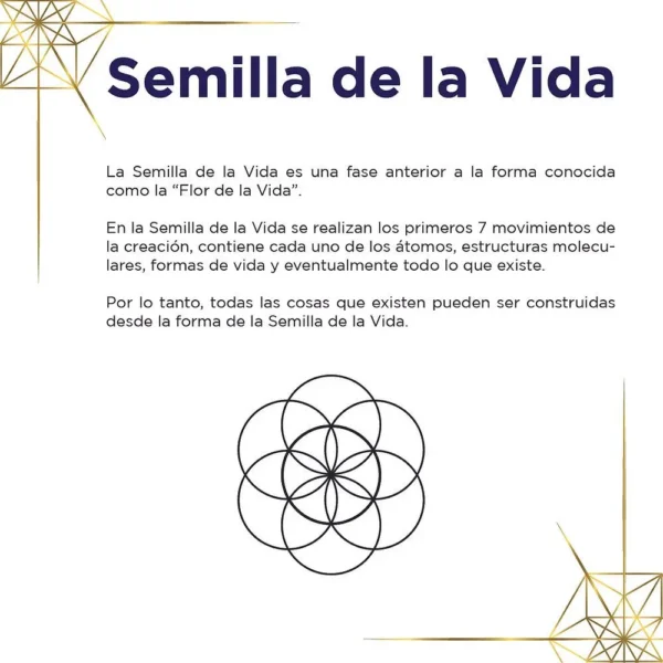 Tarjeta de Símbolos - Semilla de la Vida por Arte Sagrado