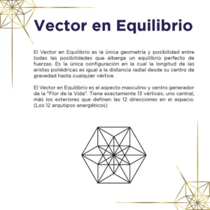 Tarjeta de Vector en Equilibrio