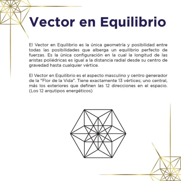 Tarjeta de Vector en Equilibrio